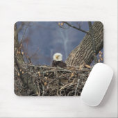 Bald Eagle mit schlechten Haaren Mousepad (Mit Mouse)