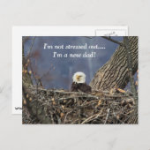 Bald Eagle mit schlechten Haaren Postkarte (Vorne/Hinten)