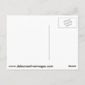 Bald Eagle mit schlechten Haaren Postkarte (Rückseite)