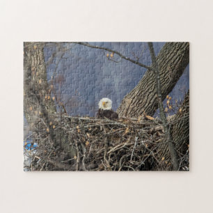Bald Eagle mit schlechten Haaren Puzzle