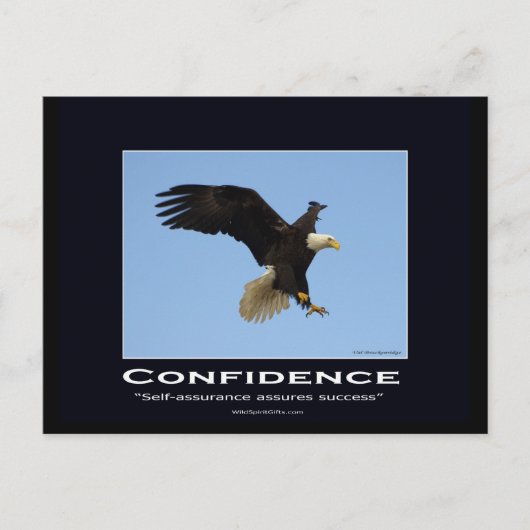 Bald Eagle Motivierend Geschenke Postkarte (Vorderseite)