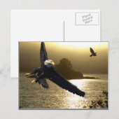Bald Eagle Motivierend Geschenke Postkarte (Vorne/Hinten)
