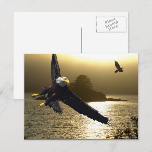 Bald Eagle Motivierend Geschenke Postkarte (Vorne/Hinten)