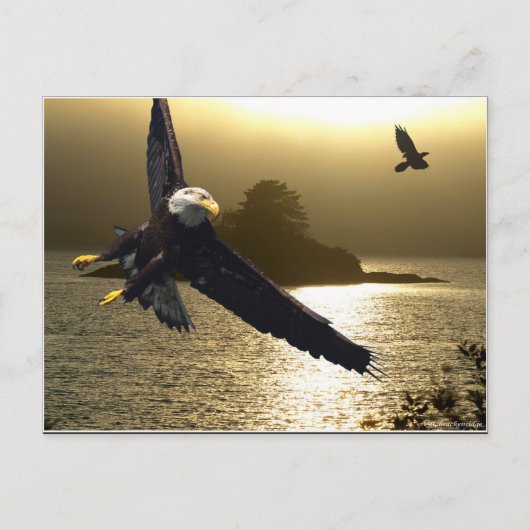 Bald Eagle Motivierend Geschenke Postkarte (Vorderseite)