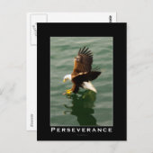 Bald Eagle Motivierend Postkarten (Vorne/Hinten)