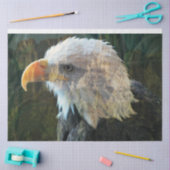 Bald Eagle Mountain Blend Seidenpapier (Basteln)