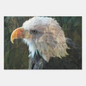Bald Eagle Mountain Geschenkpapier Set (Vorderseite)