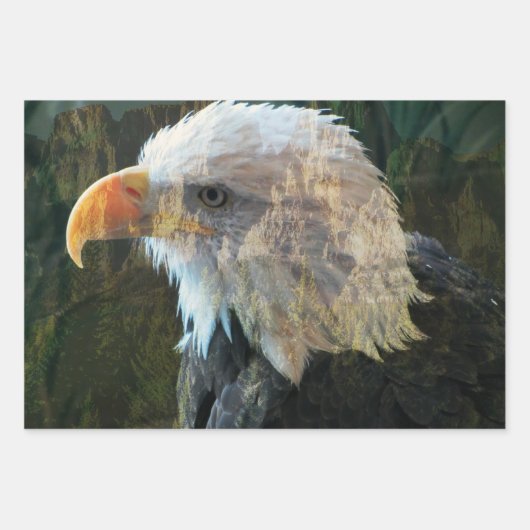 Bald Eagle Mountain Geschenkpapier Set (Vorderseite)