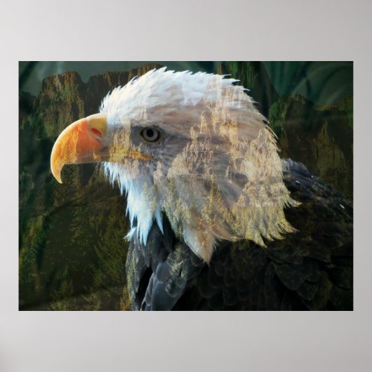 Bald Eagle Mountain Poster (Vorne)