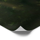 Bald Eagle Mountain Poster (Ecke)