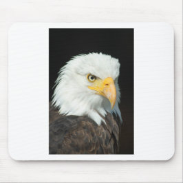 Bald Eagle Mousepad