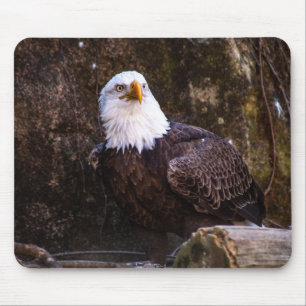 Bald Eagle Mousepad