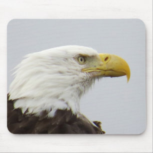 Bald Eagle Mousepad