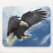Bald eagle mousepad (Vorne)