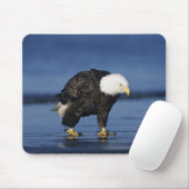 Bald Eagle Mousepad (Mit Mouse)