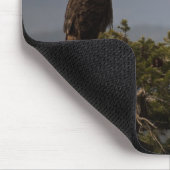 Bald Eagle - Mousepad (Ecke)