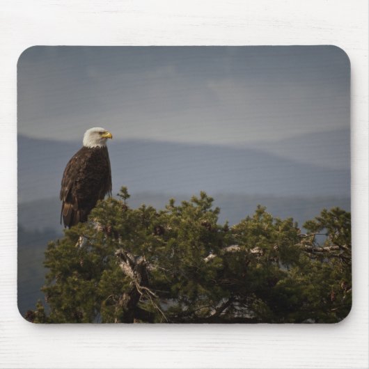 Bald Eagle - Mousepad (Vorne)