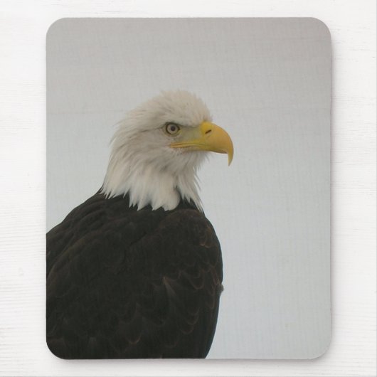 Bald Eagle Mousepad (Vorne)