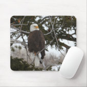 Bald Eagle Mousepad (Mit Mouse)