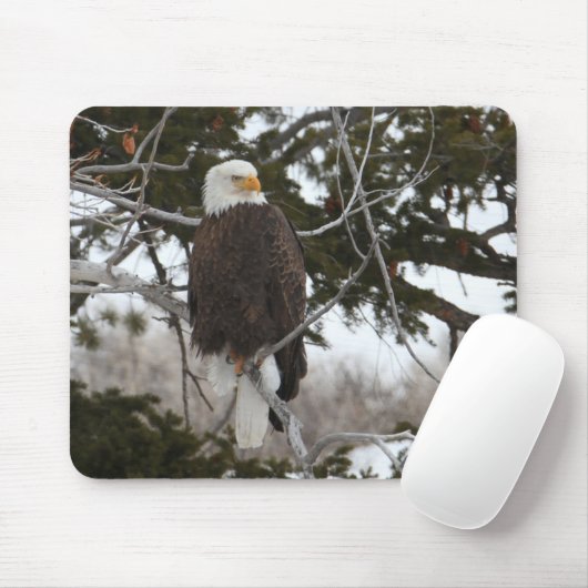 Bald Eagle Mousepad (Mit Mouse)