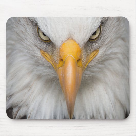 Bald Eagle Mousepad (Vorne)