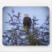 Bald Eagle Mousepad (Vorne)