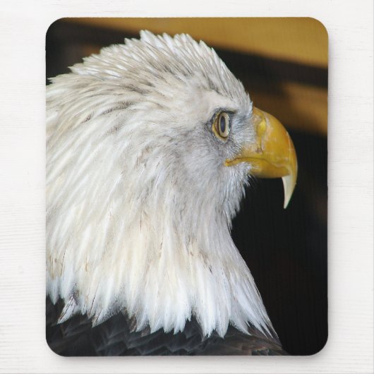 Bald Eagle Mousepad (Vorne)