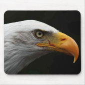 Bald Eagle mpa Mousepad (Vorne)