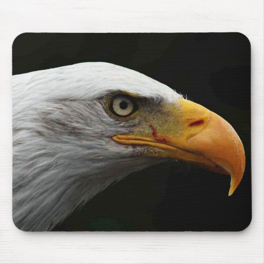 Bald Eagle mpa Mousepad (Vorne)