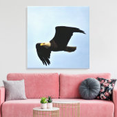 Bald Eagle Nature Portrait Leinwanddruck (Insitu (Wohnzimmer))
