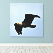 Bald Eagle Nature Portrait Leinwanddruck (Insitu (Holzboden))
