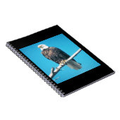 Bald Eagle-Notebook Notizblock (Rechte Seite)