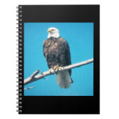 Bald Eagle-Notebook Notizblock (Vorderseite)