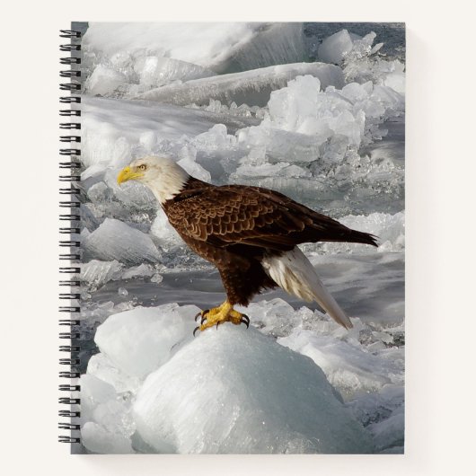 Bald Eagle Notebook Notizblock (Vorderseite)