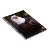 Bald Eagle-Notebook Notizblock (Rechte Seite)