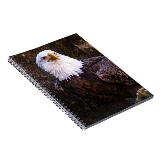 Bald Eagle-Notebook Notizblock (Rechte Seite)