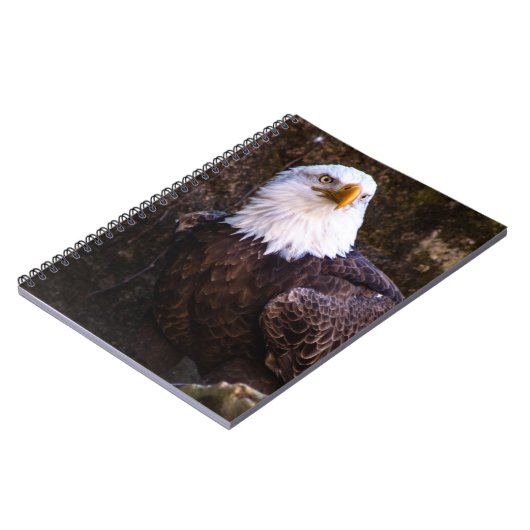 Bald Eagle-Notebook Notizblock (Linke Seite)