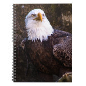 Bald Eagle-Notebook Notizblock (Vorderseite)