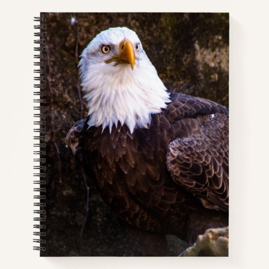 Bald Eagle-Notebook Notizblock (Vorderseite)