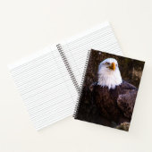 Bald Eagle-Notebook Notizblock (Innenseite)