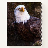 Bald Eagle-Notebook Notizblock (Rückseite)