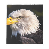 Bald Eagle Notizblock (Vorderseite)
