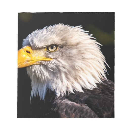 Bald Eagle Notizblock (Vorderseite)
