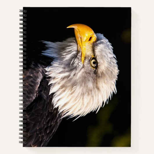 Bald Eagle Notizblock (Vorderseite)
