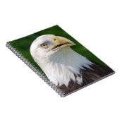 Bald Eagle Notizblock (Rechte Seite)