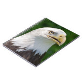 Bald Eagle Notizblock (Linke Seite)