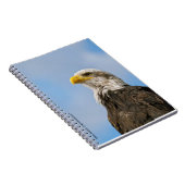 Bald Eagle Notizblock (Rechte Seite)