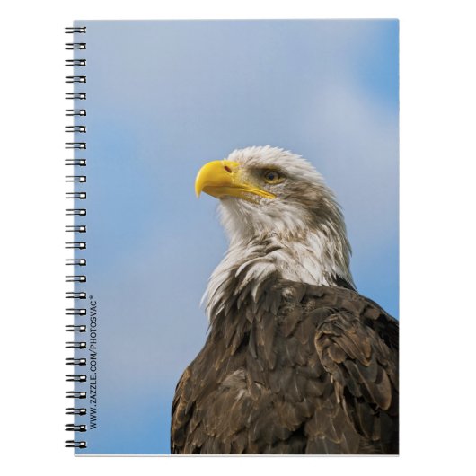 Bald Eagle Notizblock (Vorderseite)