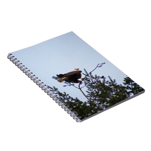 Bald Eagle Notizblock (Rechte Seite)
