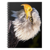Bald Eagle Notizblock (Vorderseite)